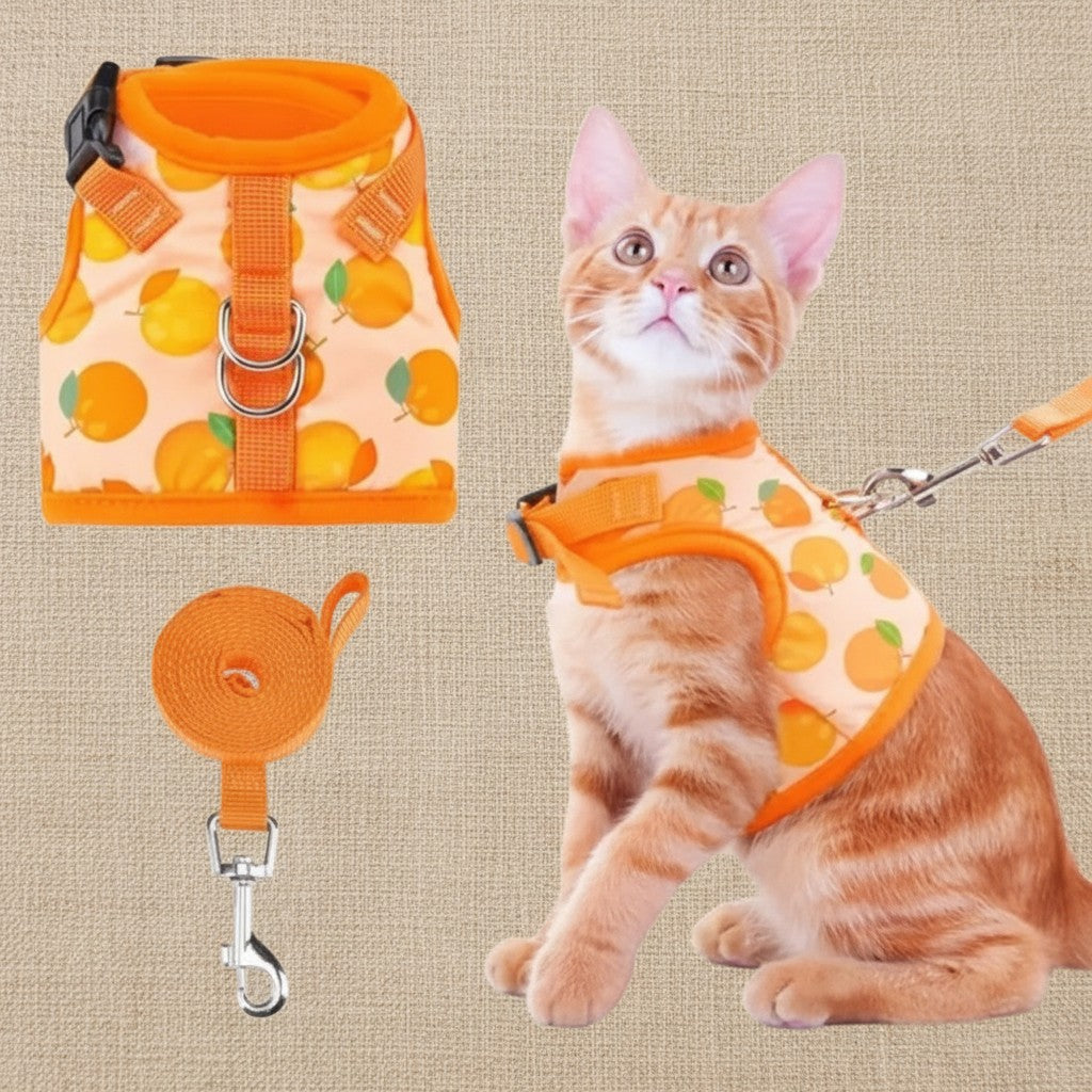 Mincy Pets orange peach print mesh cat harness and matching leash set for small pets and kittens