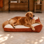 Golden Retriever resting on a Mincy Pets orthopedic crate dog bed with a two-tone cream and rust-colored textured cover.