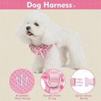 Mincy Pets pink gingham dog harness on a white poodle with breathable mesh, metal D-ring, and quick-release buckle