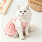 Mincy Pets pink strawberry print princess dress worn by a fluffy white cat for a cute summer look