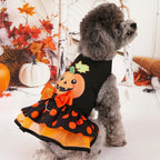 Mincy Pets dog dress featuring a pumpkin print, orange bow, and ruffled hem for Halloween in a festive setting.