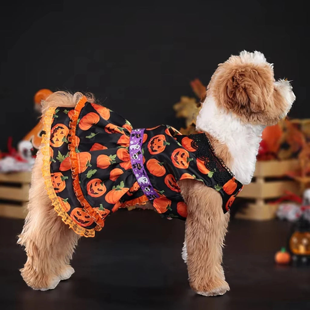 Mincy Pets pumpkin costume skirt for small dogs featuring a black fabric with orange jack-o'-lanterns and lace trim.