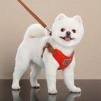 Mincy Pets red breathable polyester dog harness with a cute bear patch worn by a small white fluffy dog on a leash