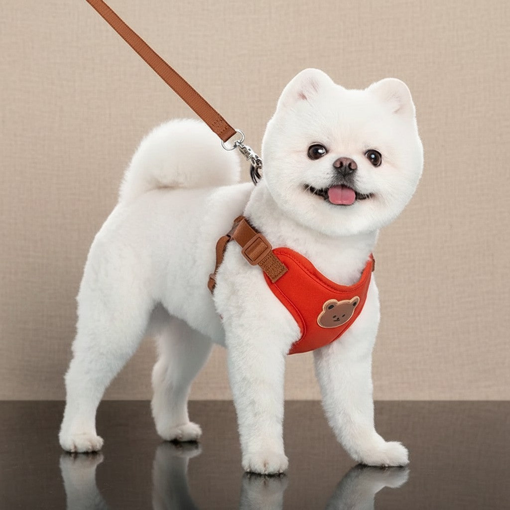 Mincy Pets red breathable polyester dog harness with a cute bear patch worn by a small white fluffy dog on a leash