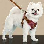 Mincy Pets dog harness and leash set in red with a cute bear patch, worn by a white Pomeranian dog