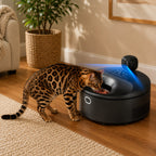 Mincy Pets smart chilled camera feeder in black, featuring a built-in camera for monitoring a cat eating wet food.