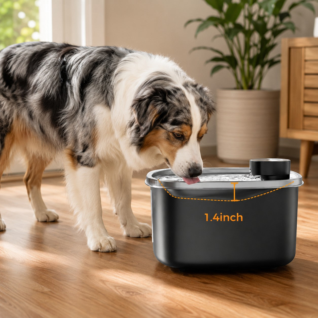 Mincy Pets 10L stainless steel dog water fountain with LED window and spout, used by an Australian Shepherd.