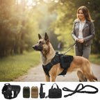 Mincy Pets tactical dog harness with molle pouches and leash on a German Shepherd during an outdoor walk