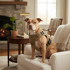 Mincy Pets heavy duty tan tactical dog harness on a dog sitting in a cozy living room with a fireplace