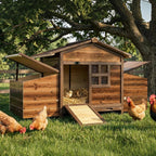 Mincy Pets wooden chicken coop with two side nesting boxes and a ramp, set in a grassy backyard under a large tree.