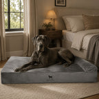 Mincy Pets XL orthopedic dog bed with cooling gel and grey memory foam, featuring a large dog resting in a bedroom.