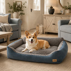 Mincy Pets XXL dog sofa bed with blue exterior, grey plush interior, and raised backrest, featuring a resting Corgi.