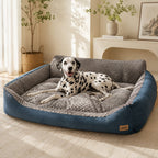 Mincy Pets XXL dog sofa bed with a plush grey interior, blue exterior, and a Dalmatian resting comfortably inside.